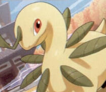 bayleef