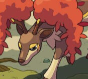 sawsbuck