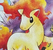 ponyta