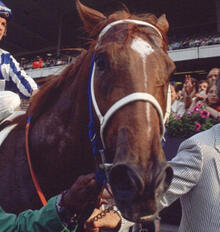 secretariat