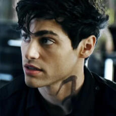 alec lightwood